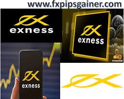 Understanding the Exness Member Experience 11