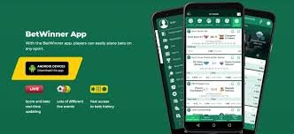 Experience the Excitement of Betting with BetWinner Online Betting Platform