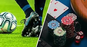 Exploring the Exciting World of dahe bet A Comprehensive Guide Exploring the Exciting World of dahe bet A Comprehensive Guide