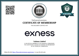 Mastering the MT4 Multiterminal Exness for Successful Trading Mastering the MT4 Multiterminal Exness for Successful Trading
